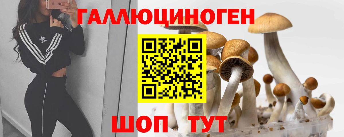 Орехово-Зуево  Псилоцибиновые грибы прущие грибы  Вход с VPN 